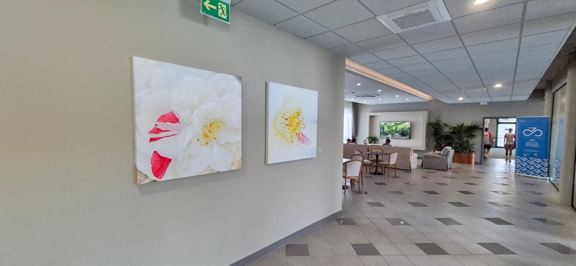 Hotel Le Cerbaie Altopascio Zewnętrze zdjęcie
